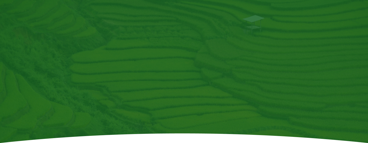 Mask group